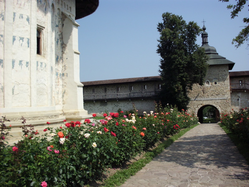 Mănăstirea Probota