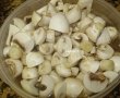 Tocanita de ciuperci cu praz si mamaliguta-1