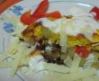 Tortilla cu cascaval si salam cu sunca-1