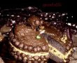 Haloween Mice Cake-8