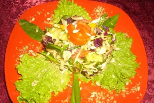 Salata Diana