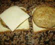Sandwich-uri  calde cu vinete pane sau cu   mozzarella-1