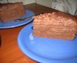 Tort de ciocolata cu visine-4