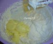 Prajitura de cocos cu vanilie si ciocolata-7
