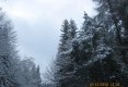 Ninge la Predelut,-3