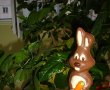 Tort in doua culori-6