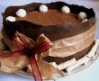 Tort Octavia-6