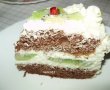 Tort etajat cu kiwi-8