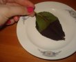 Frunze de ciocolata-3