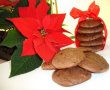 Biscotti ciocolatosi-9
