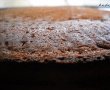 Tort Padurea Neagra-3