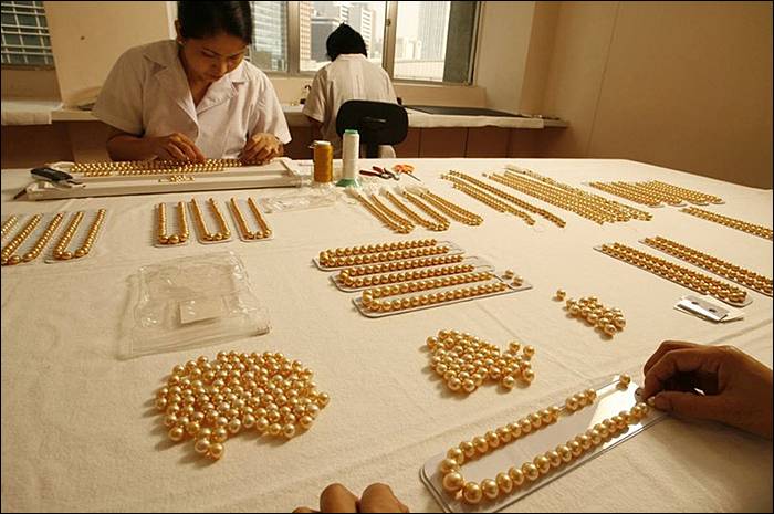 Cum se obtin perlele de aur