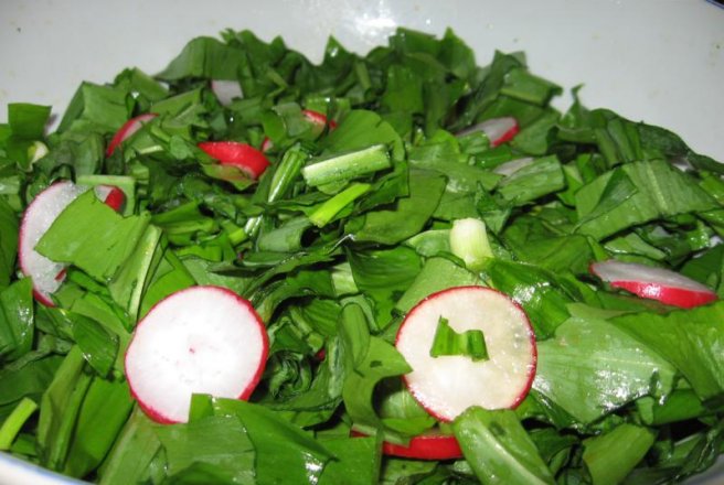 Salată de leurda