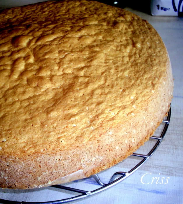 Tort Tiramisu-Tiramisu reţetă originală