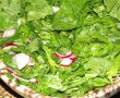 Salata de spanac-7