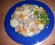 Tocanita de curcan cu morcovi si cartofi-1