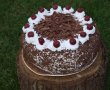 Tort Padurea Neagra-0