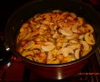 Ciorba de pui cu ciuperci-2