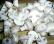 Ciocanele de pui cu ciuperci-0