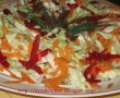 Salata de varza-1