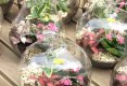 Simfonia  florilor-Piata plutitoare de flori Amsterdam-22
