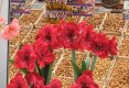 Simfonia  florilor-Piata plutitoare de flori Amsterdam-46