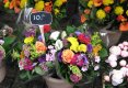 Simfonia  florilor-Piata plutitoare de flori Amsterdam-57