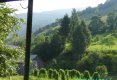 Hai hui prin Maramureş (4)-Cu Mocănița pe Valea Vaserului-18