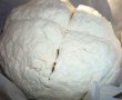 Paine irlandeza( irish bread)-2