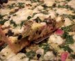 Pizza frageda-10