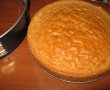 Tort special cu branza, caise si ciocolata alba-4