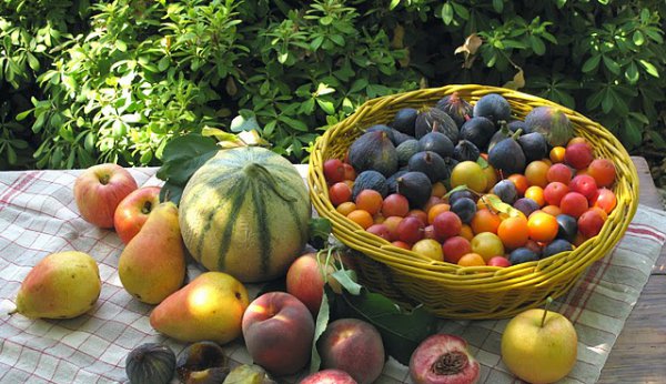 Dieta de toamna cu fructe si legume