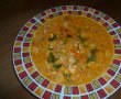 Supa cu zdrente (sau reconditionata)-0