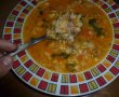 Supa cu zdrente (sau reconditionata)-2