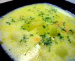 Ciorba de dovlecei-0
