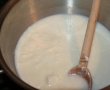 Bavareza de iaurt cu sos de prune-0