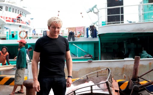 Aventura inedita a unui bucatar excentric, Gordon Ramsay printre rechini, in 10 februarie la TV Paprika