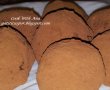 Trufe cu biscuiti si ciocolata-0