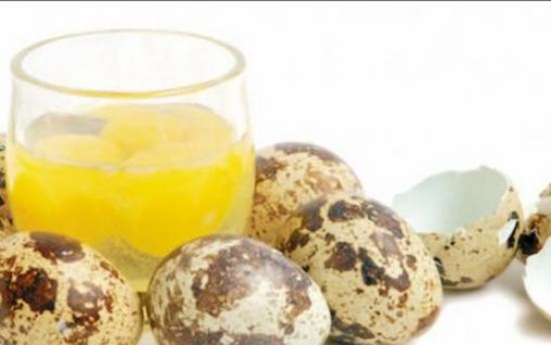 Ouăle de prepeliţă – porţia zilnică de sănătate