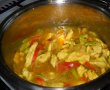 Curry de pui-2