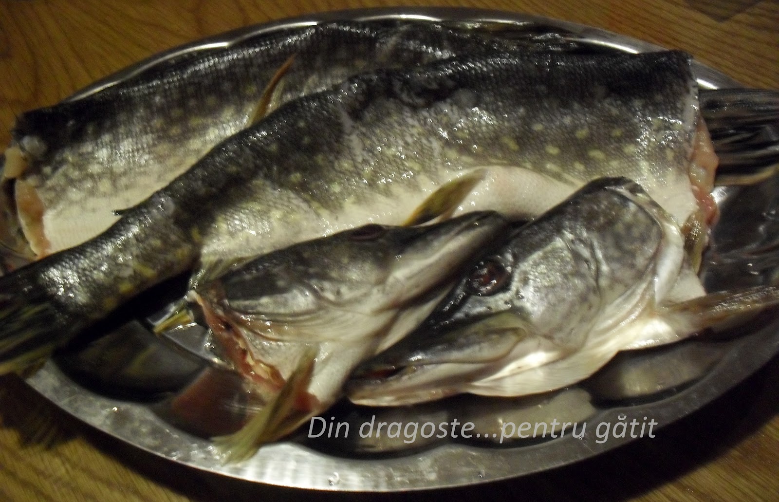 Știucă umplută