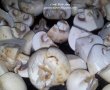 Ciuperci La Tigaie-1