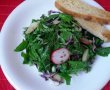Salată de primăvară -  spanac, ridichi, ceapă verde, mărăr-1