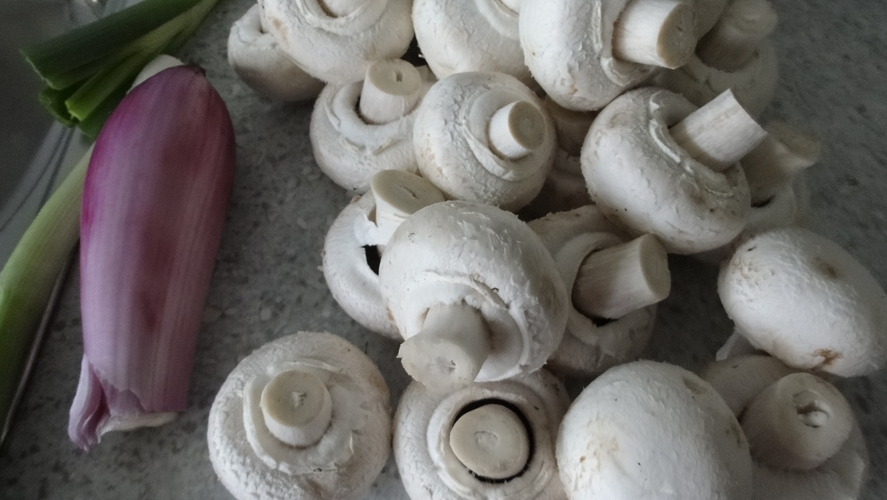 Tocanita de ciuperci cu piept de pui