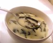 Ciorba de salata de padure (untisor)-3