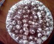 Tort Cataif cu ciocolata si fulgi de cocos-5