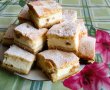Prajitura cu branza de vaci si  stafide-2