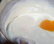 Budinca de conopida-0