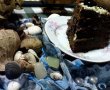 Tort  "Amandina" cu cirese-14