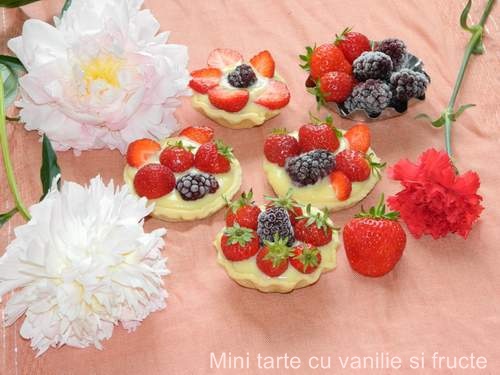 Mini tarte cu crema de vanilie si fructe